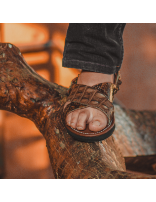 Occidental | Aligator + Boa