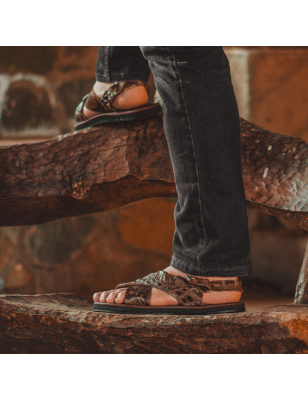 Occidental | Aligator + Boa