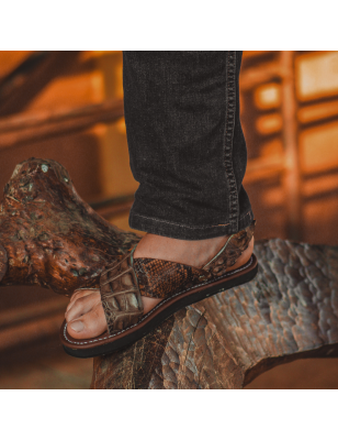 Occidental | Aligator + Boa