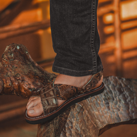 Occidental | Aligator + Boa