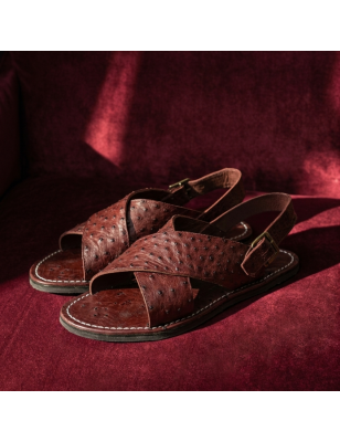 Pancho | Avestruz genuino brandy