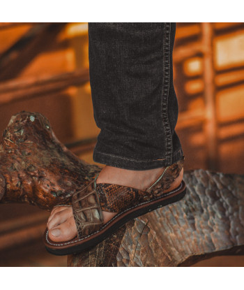 Occidental | Aligator + Boa