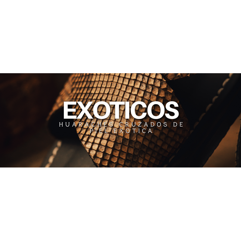 Exóticos